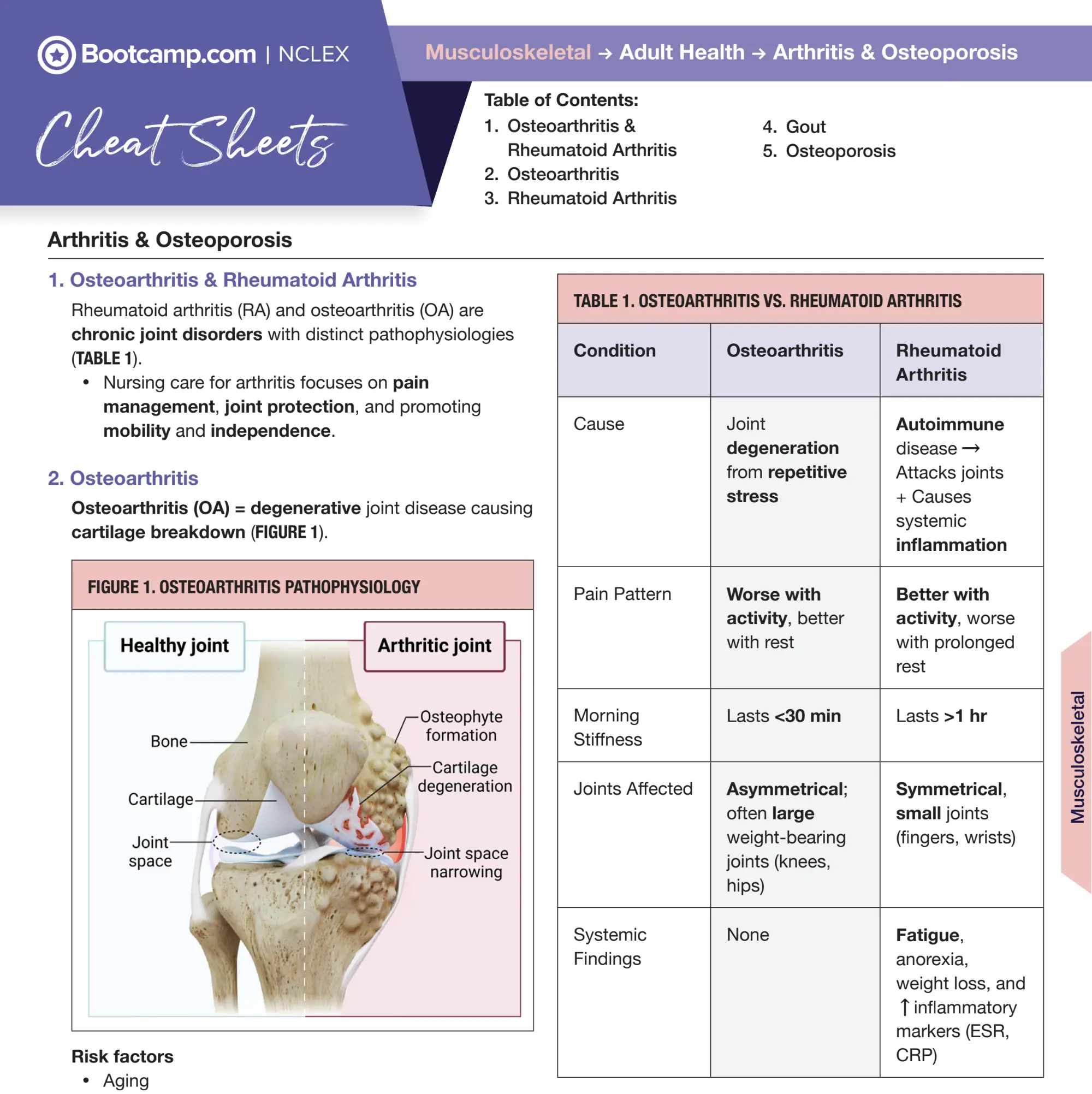 NCLEX Bootcamp printable cheat sheet comparing Osteoarthritis and Rheumatoid Arthritis with pathophysiology diagrams